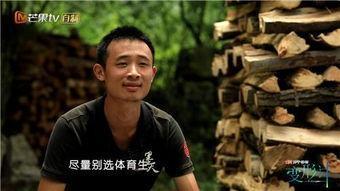 变形计郑子豪照片,从叛逆少年到蜕变精英的变形之旅
